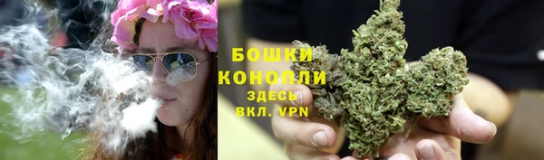 стафф Богородск