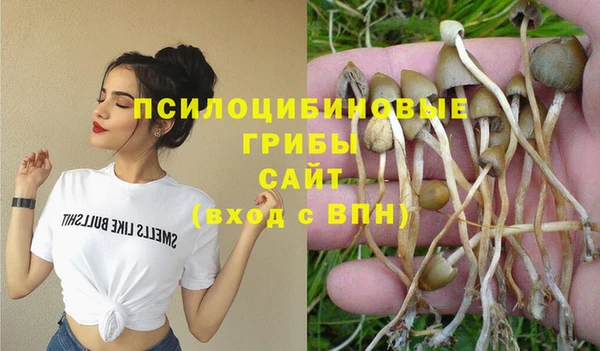 стафф Богородск
