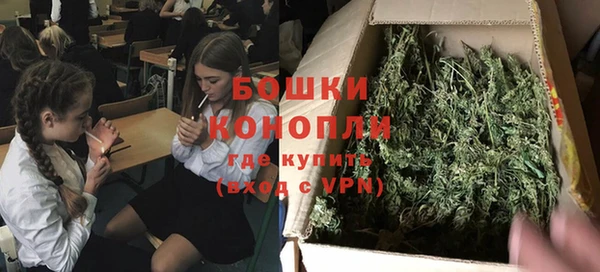 стафф Богородск