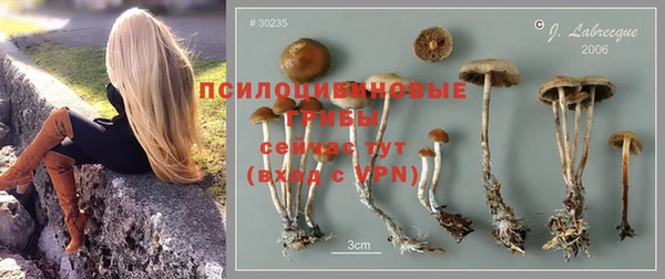 кокаин колумбия Богородицк
