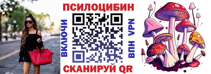 Купить где  Короча  Галлюциногенные грибы Psilocybe 